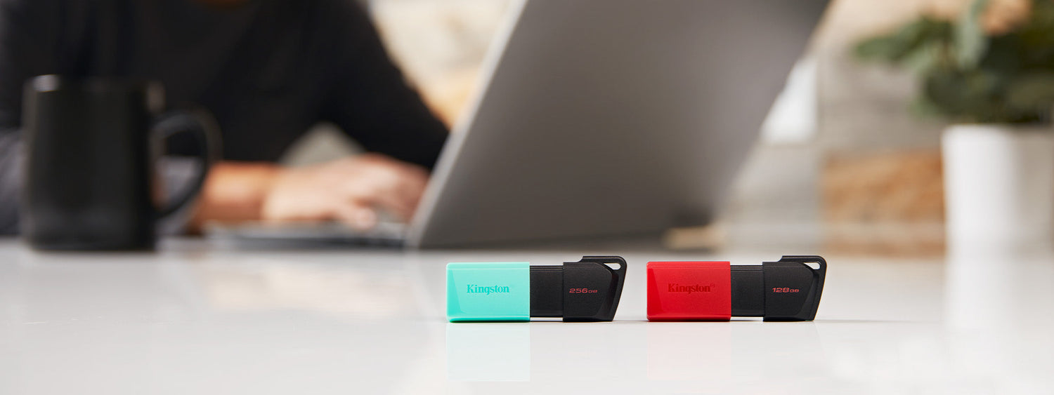 USB Bellekler